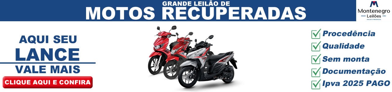 LEILÕES DE VEICULOS 